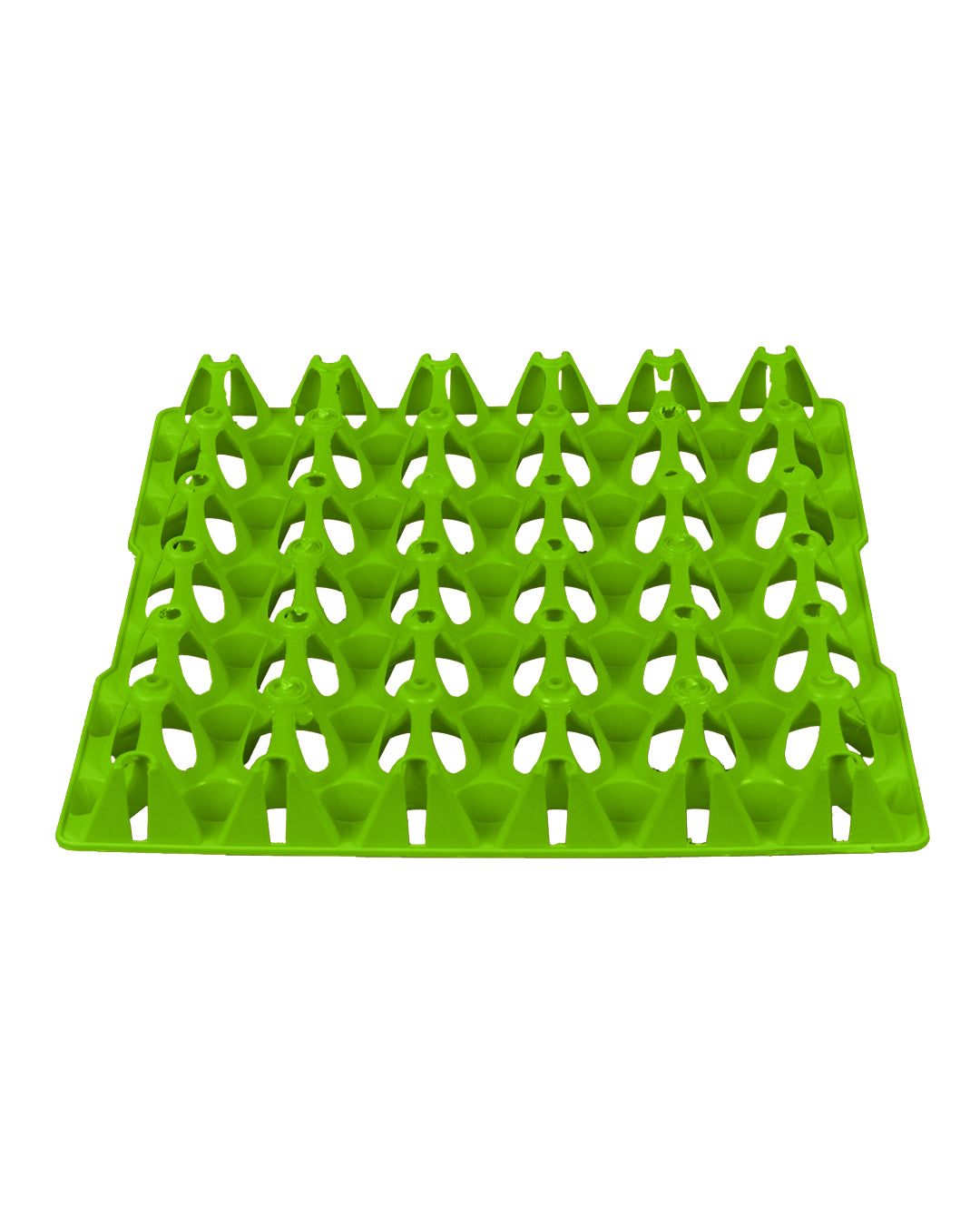 Egg Plate